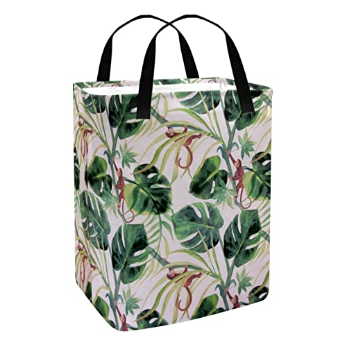 Cute Monkey Climbing Tropical Leaves Print Collapsible Laundry Hamper, 60L Waterproof Laundry Baskets Washing Bin Clothes Toys Storage for Dorm Bathroom Bedroom