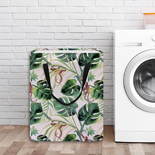 Cute Monkey Climbing Tropical Leaves Print Collapsible Laundry Hamper, 60L Waterproof Laundry Baskets Washing Bin Clothes Toys Storage for Dorm Bathroom Bedroom