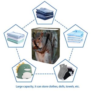 Cute Squirrel Print Collapsible Laundry Hamper, 60L Waterproof Laundry Baskets Washing Bin Clothes Toys Storage for Dorm Bathroom Bedroom