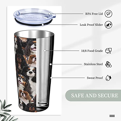 Funny Cavalier King Charles Spaniel Dog Face Cute Puppy Water Bottles - 20oz Tumbler Cups with Lid, Steel Straw and Brush Mug - Stainless Steel Vacuum Insulated Water Coffee Thermal Cup For Women Men