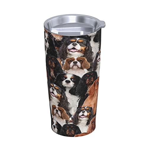 Funny Cavalier King Charles Spaniel Dog Face Cute Puppy Water Bottles - 20oz Tumbler Cups with Lid, Steel Straw and Brush Mug - Stainless Steel Vacuum Insulated Water Coffee Thermal Cup For Women Men