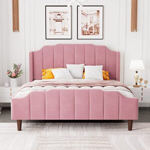 hoomic queen size upholstered platform bed with curved velvet wingback headboard and footboard,solid wood, no box spring needed, easy assembly, pink