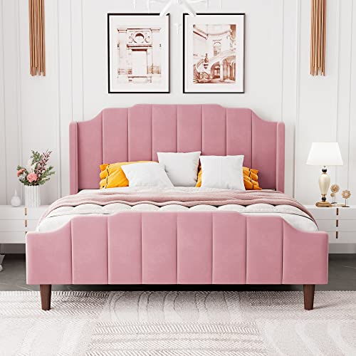 HOOMIC Queen Size Upholstered Platform Bed with Curved Velvet Wingback Headboard and Footboard,Solid Wood, No Box Spring Needed, Easy Assembly, Pink