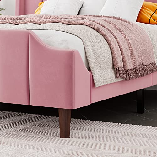 HOOMIC Queen Size Upholstered Platform Bed with Curved Velvet Wingback Headboard and Footboard,Solid Wood, No Box Spring Needed, Easy Assembly, Pink