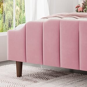 HOOMIC Queen Size Upholstered Platform Bed with Curved Velvet Wingback Headboard and Footboard,Solid Wood, No Box Spring Needed, Easy Assembly, Pink