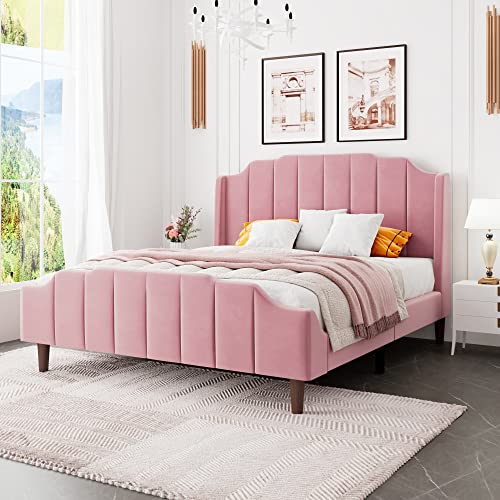 HOOMIC Queen Size Upholstered Platform Bed with Curved Velvet Wingback Headboard and Footboard,Solid Wood, No Box Spring Needed, Easy Assembly, Pink