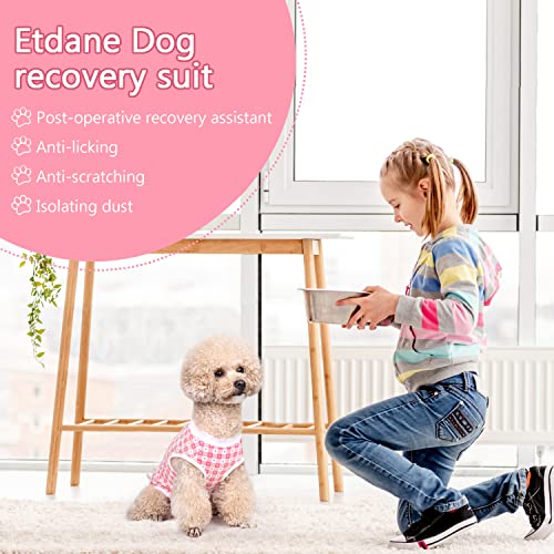 Etdane Recovery Suit for Dog Cat After Surgery Dog Surgical Recovery Onesie Female Male Pet Bodysuit Dog Cone Alternative Abdominal Wounds Protector Pink Plaid/Hear/X-Small