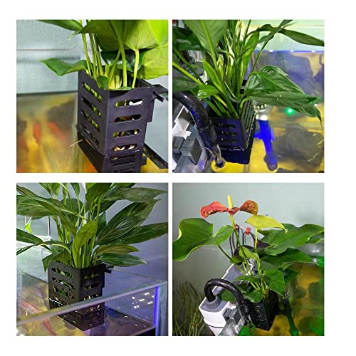 HALIFIN 2PCS Aquatic Plant Cup,Plastic Aquatic 𝐏𝐥𝐚𝐧𝐭 𝐏𝐨𝐭 Three Different Sizes of Holder, Fish Tank for Emersed Plants Aquariums, Suitable for Borders Aquariums Without (Black) (2.1 x 3.1 x 5)