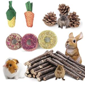 contivico small pets chew toys small animals clean teeth treats toys for rabbit, guinea pig, hamster, chinchilla, rat, gerbil,parrot other small pets teeth grinding toy (packaged 1)