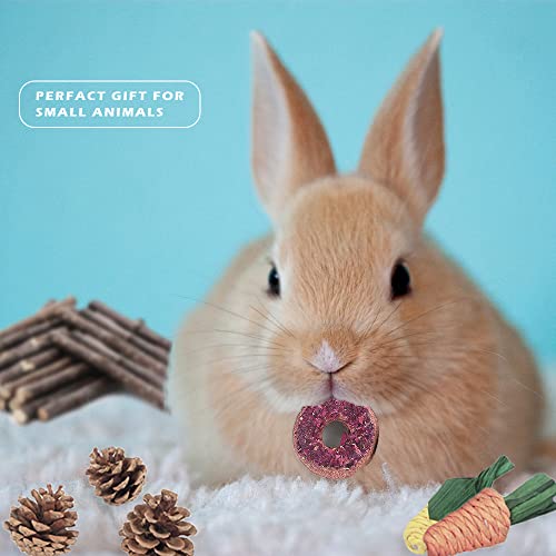 CONTIVICO Small Pets Chew Toys Small Animals Clean Teeth Treats Toys for Rabbit, Guinea Pig, Hamster, Chinchilla, Rat, Gerbil,Parrot Other Small Pets Teeth Grinding Toy (Packaged 1)