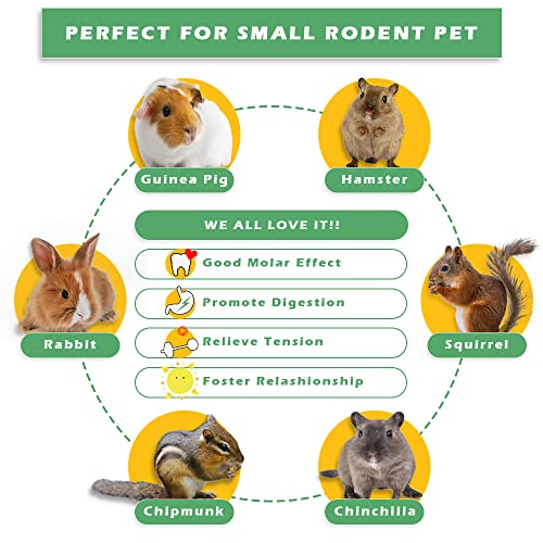 CONTIVICO Small Pets Chew Toys Small Animals Clean Teeth Treats Toys for Rabbit, Guinea Pig, Hamster, Chinchilla, Rat, Gerbil,Parrot Other Small Pets Teeth Grinding Toy (Packaged 1)