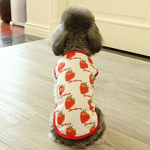 HonpraD Yorkie Clothes for Small Dogs Boy Dog Shirt Strawberry Print Puppy Cat T Shirts Tops Soft Dog Sleeveless Vest Outfits Summer Tee Shirts Pet Clothes