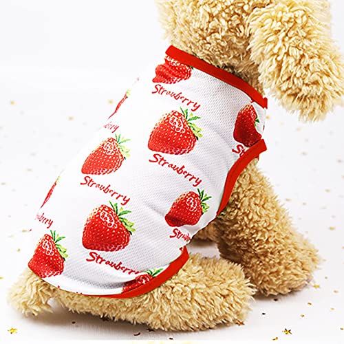 HonpraD Yorkie Clothes for Small Dogs Boy Dog Shirt Strawberry Print Puppy Cat T Shirts Tops Soft Dog Sleeveless Vest Outfits Summer Tee Shirts Pet Clothes