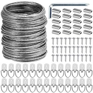 ouskr 100 pcs picture hanging wire kit, 100 feet heavy duty wire picture hanging for photo mirror frame artwork, included d ring picture hangers, screws, aluminum sleeves, screwdriver, up to 30lbs