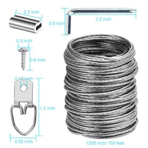 Ouskr 100 Pcs Picture Hanging Wire Kit, 100 Feet Heavy Duty Wire Picture Hanging for Photo Mirror Frame Artwork, Included D Ring Picture Hangers, Screws, Aluminum Sleeves, Screwdriver, up to 30lbs