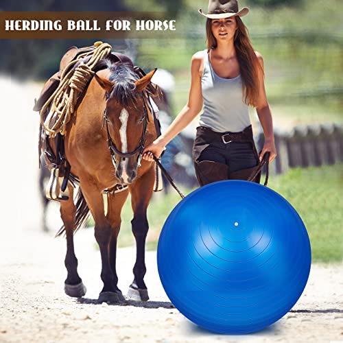2 Pcs 40 Inch Horse Ball for Play Large Horse Ball Big Herding Ball for Horse Anti Burst Horse Soccer Ball Giant Horse Play Ball Toys for Horses to Play with, Pump Included (Blue and Red, 40 Inch)