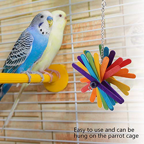 GFRGFH Pet Bird Toy Parrot Interactive Wooden Parakeet Chew Teeth Grind Stick Toys Easy to Use