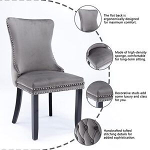 DKLGG Velvet Dining Chairs Set of 2, Upholstered Dining Room Chairs Cozy Wing-Back Dinner Chairs with Backstitching Nailhead Trim & Solid Wood Legs for Kitchen & Dining Room Chairs Living Room, Grey