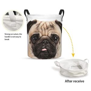 FeHuew Lovely Puppy Pug Portrait Collapsible Laundry Basket with Handle Waterproof Hamper Storage Organizer Large Bins for Dirty Clothes,toys