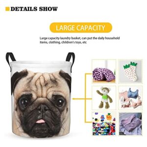 FeHuew Lovely Puppy Pug Portrait Collapsible Laundry Basket with Handle Waterproof Hamper Storage Organizer Large Bins for Dirty Clothes,toys