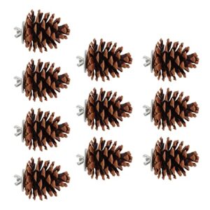 10Pcs Natural Pine Cones, Pinecone Decor, Bird Chewing Toys, Pet Bird Birdcages Hanging Tearing Toys with fixing nuts and washers for Parakeet Cockatiel Conure African Grey Lovebirds Budgies Cockatoos