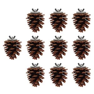 10Pcs Natural Pine Cones, Pinecone Decor, Bird Chewing Toys, Pet Bird Birdcages Hanging Tearing Toys with fixing nuts and washers for Parakeet Cockatiel Conure African Grey Lovebirds Budgies Cockatoos