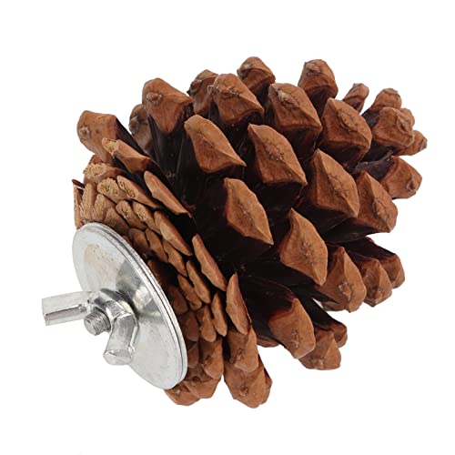 10Pcs Natural Pine Cones, Pinecone Decor, Bird Chewing Toys, Pet Bird Birdcages Hanging Tearing Toys with fixing nuts and washers for Parakeet Cockatiel Conure African Grey Lovebirds Budgies Cockatoos