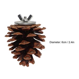 10Pcs Natural Pine Cones, Pinecone Decor, Bird Chewing Toys, Pet Bird Birdcages Hanging Tearing Toys with fixing nuts and washers for Parakeet Cockatiel Conure African Grey Lovebirds Budgies Cockatoos