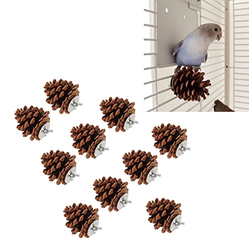 10Pcs Natural Pine Cones, Pinecone Decor, Bird Chewing Toys, Pet Bird Birdcages Hanging Tearing Toys with fixing nuts and washers for Parakeet Cockatiel Conure African Grey Lovebirds Budgies Cockatoos