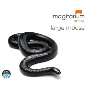 the gourmet rodent frozen large mouse, count of 10