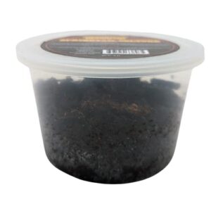 DBDPet Live Springtail Cultures - Great for Terrariums, Vivariums, and More - Microfauna for Bioactive Reptile & Amphibian Cages (Soil Culture)