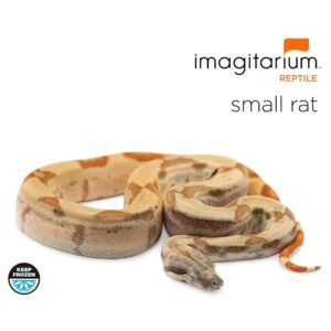 the gourmet rodent frozen small rat, count of 10