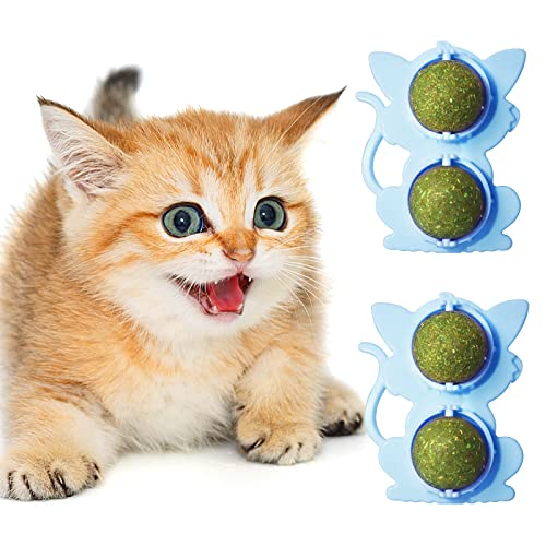 Catnip Balls for Cats Wall Catnip Ball Toy, 2 Pack Edible Cat Nip Ball Double Ball for Cats Chew Toy, Rotatable Interactive Cat Kitten Toys of Indoor Cats for Teeth Cleaning & Soothe the Mood (Blue)