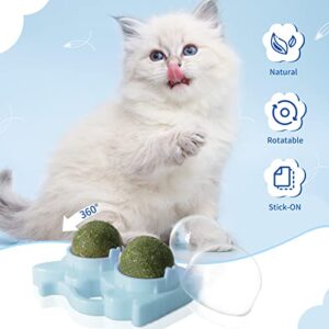 Catnip Balls for Cats Wall Catnip Ball Toy, 2 Pack Edible Cat Nip Ball Double Ball for Cats Chew Toy, Rotatable Interactive Cat Kitten Toys of Indoor Cats for Teeth Cleaning & Soothe the Mood (Blue)