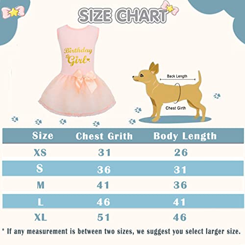 Dog Cute Gold Glitter Dress Tutu Outfit Princess Skirt for Small Medium Girl Dogs Wedding Bride Birthday Party Photography (Birthday Girl, L)