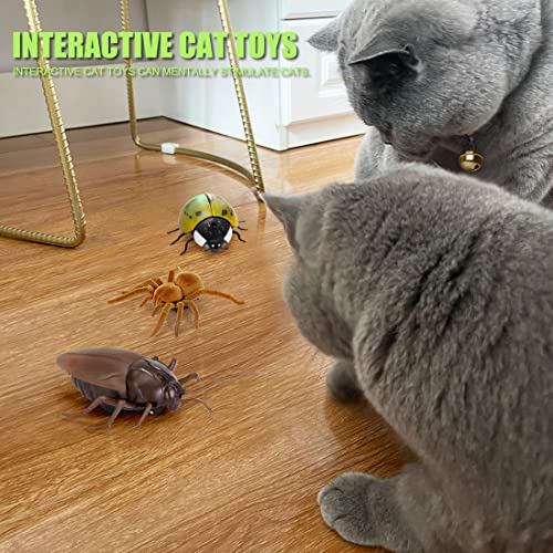Lylyzoo Robotic Toy Tarantula for Indoor Cats, Electric Moving Fake Spider, Fun Prank Toy, Battery-Operated Interactive Cat Toys for Kitten Chasing and Entertainment (Fake Tarantula)