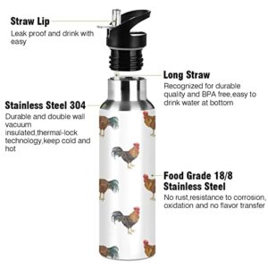 Oarencol Watercolor Rooster Water Bottle Stainless Steel Vacuum Insulated Thermos with Straw Lid 20 Oz