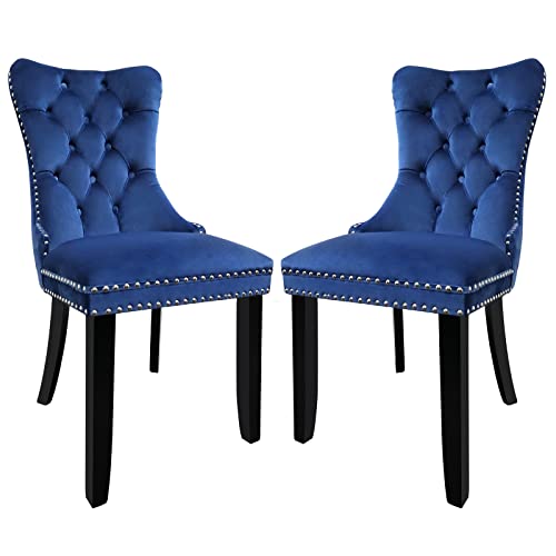 Wonder Comfort Velvet Upholstered with Nailhead Back and Ring Pull Trim Solid Wood Dining Chairs Set of 2, 19.724.437.4, Blue