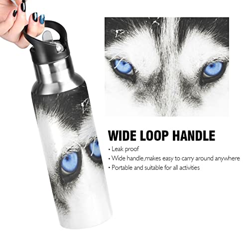 Oarencol Dog Blue Eyes Huskie Animal Water Bottle Stainless Steel Vacuum Insulated Thermos with Straw Lid 20 Oz