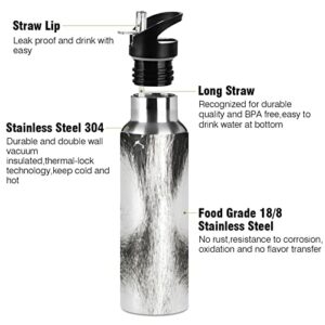 Oarencol Dog Blue Eyes Huskie Animal Water Bottle Stainless Steel Vacuum Insulated Thermos with Straw Lid 20 Oz