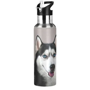 oarencol husky dog water bottle cute animal stainless steel vacuum insulated thermos with straw lid 20 oz