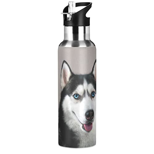 Oarencol Husky Dog Water Bottle Cute Animal Stainless Steel Vacuum Insulated Thermos with Straw Lid 20 Oz