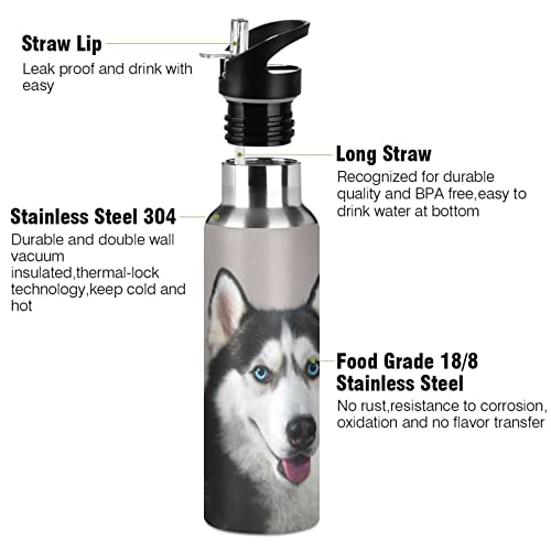 Oarencol Husky Dog Water Bottle Cute Animal Stainless Steel Vacuum Insulated Thermos with Straw Lid 20 Oz