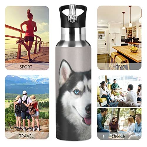 Oarencol Husky Dog Water Bottle Cute Animal Stainless Steel Vacuum Insulated Thermos with Straw Lid 20 Oz