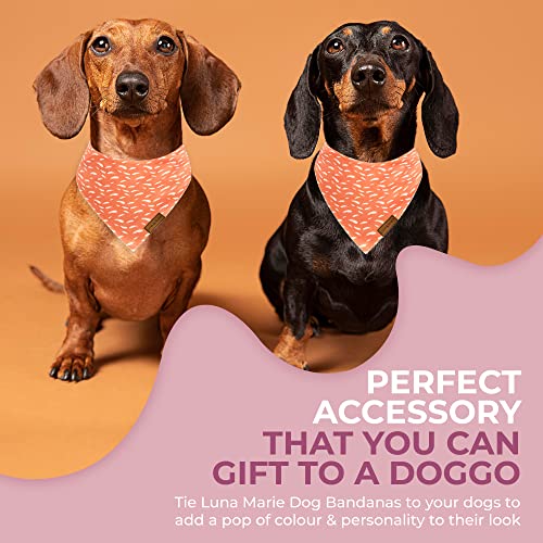 LunaMarie - Luxury Pet Birthday Bandanas -Premium & Silky Poly Fabric | 100% Handmade | Custom Shape Dual Layered (Orange Feathers, Small)