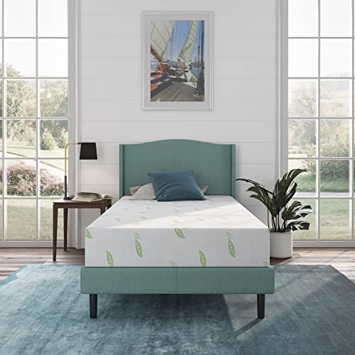 NapQueen Twin Mattress, 8 Inch Anula Green Tea Memory Foam Mattress, Twin Bed Mattress in a Box, CertiPUR-US Certified, Medium Firm, Natural Odor Neutralizer, Breathable & Washable Soft Fabric Cover