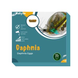 one capsule daphnia magna water flea eggs alive free chlorella powder for feeding crustaceans - daphnia, moina, rotifer, fairy shrimp, and other live fish food