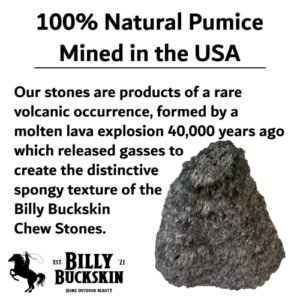 Volcanic Pumice Chinchilla Chew Blocks | Mined in USA | 100% Natural and Genuine | Pumice Stone for Small Animals | by Billy Buckskin Co. | Large Natural Shape | 8 Pack