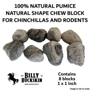 Volcanic Pumice Chinchilla Chew Blocks | Mined in USA | 100% Natural and Genuine | Pumice Stone for Small Animals | by Billy Buckskin Co. | Large Natural Shape | 8 Pack