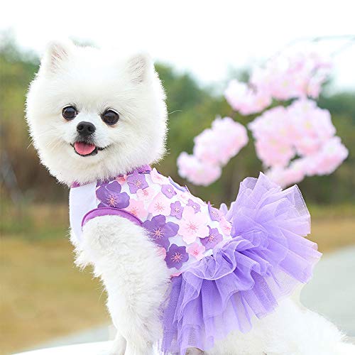 Dog Clothes for Small Dogs Girl 3 Pack Summer Puppy Clothes Outfit Yorkie Clothes Cute Cat Skirt Pup Tutu Pink Yorkie Clothing Breathable Pet Dress Tiny Dog Clothes (X-Small)